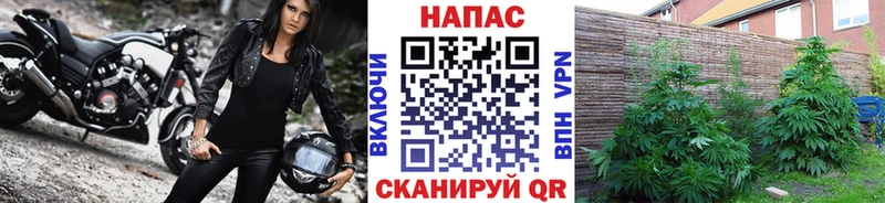 Хочу наркоту Кола Конопля  NBOMe  Галлюциногенные грибы  ГАШИШ  Cocaine  мега зеркало  Мефедрон 