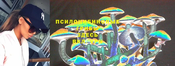 спиды Алексеевка