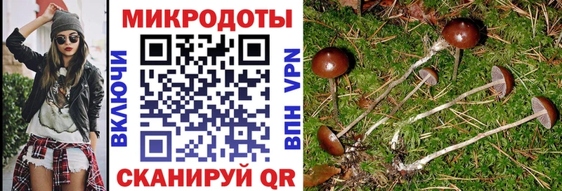 Галлюциногенные грибы GOLDEN TEACHER Кола